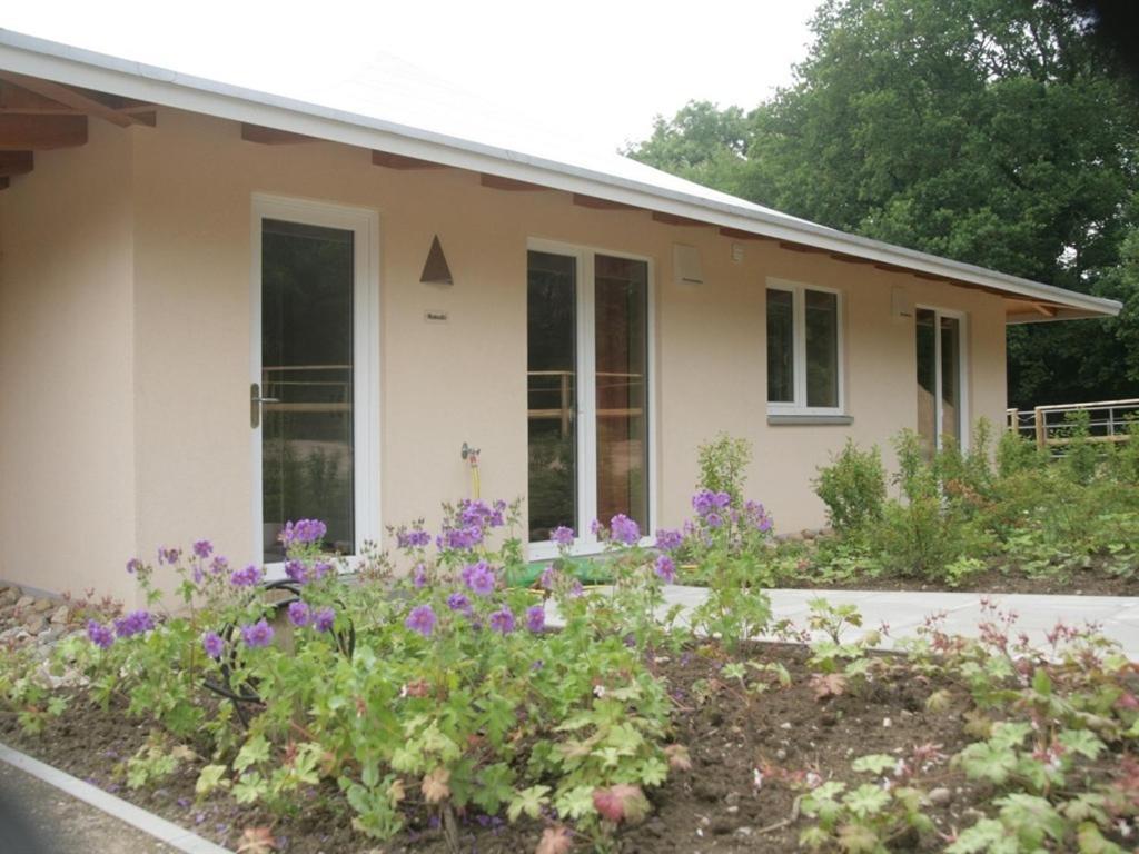 Ferienwohnung Oase Friedensthal Friedenstal Zimmer foto